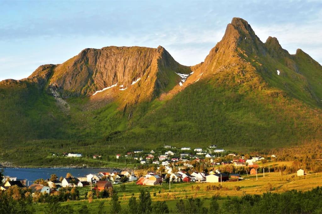 Cozy Apartment Between Sea And Mountains Mefjordvær المظهر الخارجي الصورة