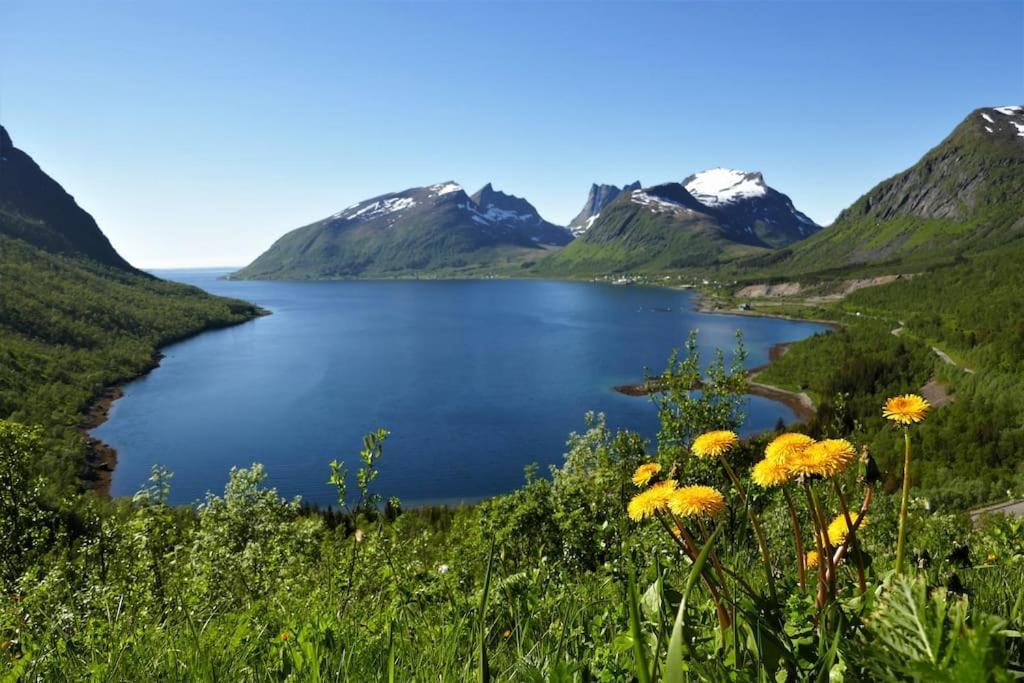Cozy Apartment Between Sea And Mountains Mefjordvær المظهر الخارجي الصورة