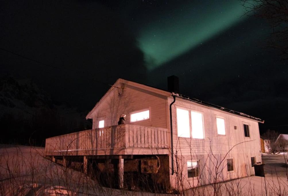 Cozy Apartment Between Sea And Mountains Mefjordvær المظهر الخارجي الصورة
